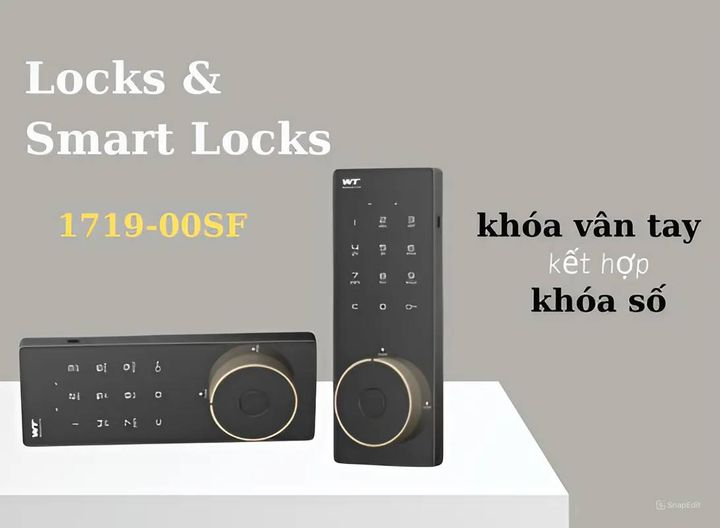 Electronic Lock M-1719-00SF